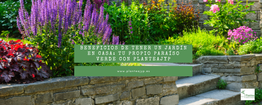 Beneficios de tener un jardín en casa: tu propio paraíso verde con Planteajyp