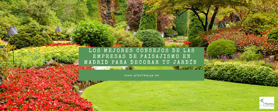 Los mejores consejos de las empresas de paisajismo en Madrid para decorar tu jardín