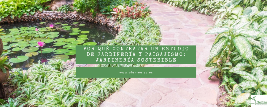 Por qué contratar un estudio de jardinería y paisajismo: Jardinería sostenible